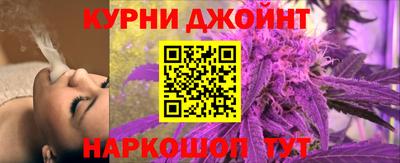 сатива Новозыбков