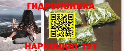 сатива Новозыбков