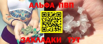 сатива Новозыбков