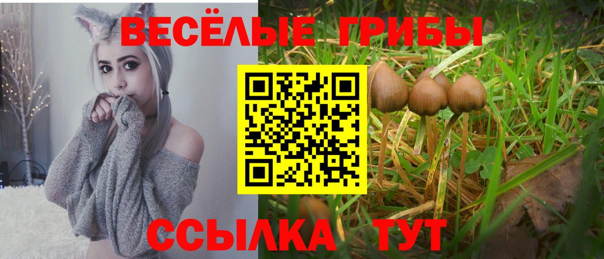 Галлюциногенные грибы MAGIC MUSHROOMS  Вход с VPN  Торжок 